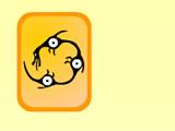 Ninja Kiwi