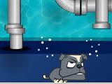 Pipe Pang