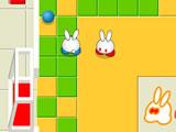 Rabbit Cup
