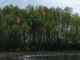 Duck Hunt 1