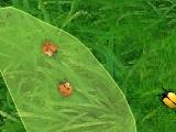 2 Many Bugs