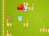 Crazy cow