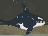 Killer Whale