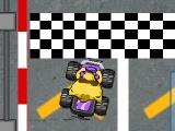 Racoon racing