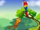 Spider monkey