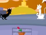 Jumping cat