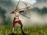 Archery challenge