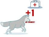 Eight Below