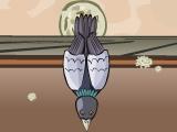 Pigeons Revenge