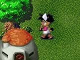 Dragon Ball Z village