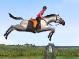 Horse Jumping