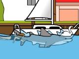 Miami Shark