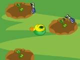 Vegetable Garden