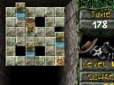 Mayan Raiders