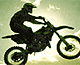 Spring Rider
