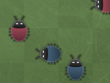 Bug Swat!