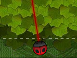 Lala Bug