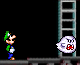 Luigi Mansion