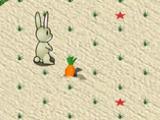 Rabbit y Carrot
