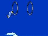 Stunt Penguin
