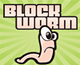 Block worm