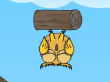 Cute Owl