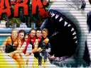Miami Shark